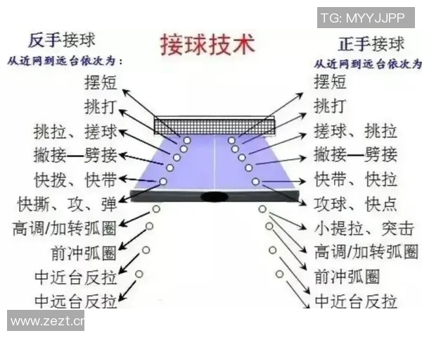 球类运动的魅力与发展探索从起源到现代化竞技的全景分析