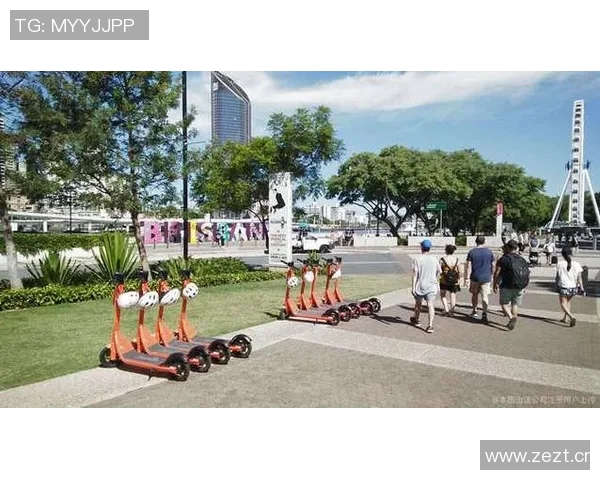 西安滑板队节奏表现数据分析与技巧提升探讨