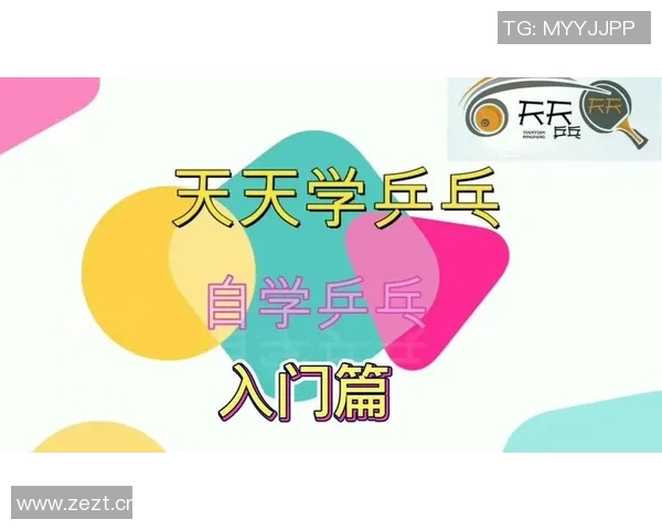 乒乓球新手必看团队协作技巧与入门指南助你快速提升球技